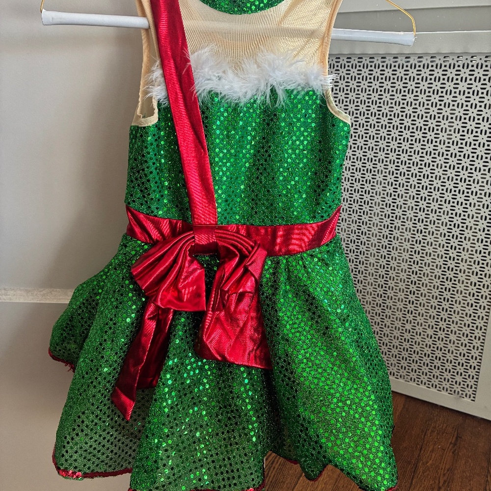 Girls Christmas dance/skating costume size 8